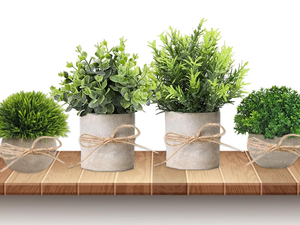 Mini plantes artificielles en pot de béton, eucalyptus, <span class=keywords><strong>romarin</strong></span>, bonsaï avec ficelle pour décoration de bureau, étagère, style farmhouse - Product Image 2