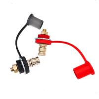Poteau de chargeur de batterie de type long 250A Lot de 2 matériaux en laiton avec goujons rouges et noirs Borne à vis Application automobile