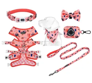 2022 New Arrival Pet Supplier Neck Adjustable Custom Design Neoprene Hearts Dog Harness Set Dog Harness with Metal Buckle