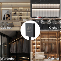 Interrupteur d'éclairage intelligent à LED pour armoire avec capteurs tactiles et de mouvement Capteur PIR Miroir Contrôle inductif Bandes de gradation