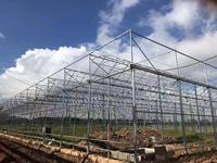 Invernadero Multi-Span con Techo de Plástico para Cultivo de Vegetales y Flores