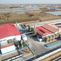 Poudre RDP chinoise : Améliore la flexibilité du mortier et la performance de bridage des fissures, réduit les tensions causées par les variations de température