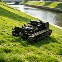 Petite tondeuse à gazon télécommandée sur chenilles 800 mm tout-terrain haute productivité professionnelle pour l'aménagement paysager, les vergers et les jardins
