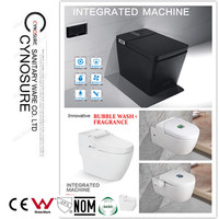 CY3403BL-ideal standard toilettes toilettes suspendues