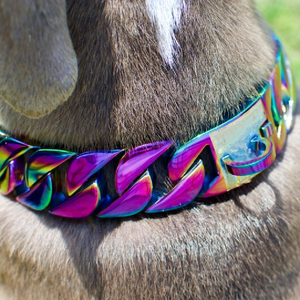 Arnés de perro de raza grande de acero inoxidable de alta calidad KINYU Collar de Bulldog de cadena de eslabones cubanos Chapado en ilusión de lujo - Product Image 6