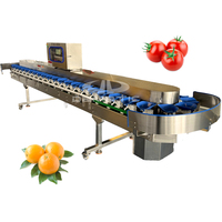 Nauwkeurige Sortering Automatische Fruit Aardappel Date Sizer Gewicht Sorteermachine Door Lingonberry Baby Wortel Berry Sorter Gewicht Machine