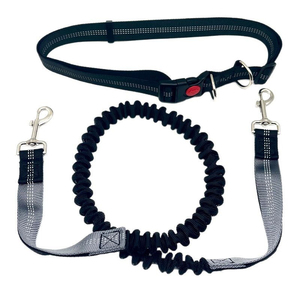Laisse de course mains libres pour chien, multicolore, avec ceinture de taille réglable et amortisseur élastique, vente en gros, logo personnalisé OEM - Product Image 5