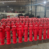 Interface à double système Bouche d'incendie de type humide Équipement bidirectionnel de lutte contre l'incendie