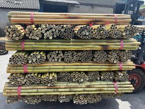 Wholesale Natural <b>Bamboo</b> Stakes for Garden Plant Support Durable Agricultural <b>Bamboo</b> <b>Canes</b> from Vietnam Factory - Product Image 3