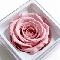 Têtes de roses éternelles de qualité supérieure 4-5 cm, emballage en boîte, matériel floral DIY, plusieurs couleurs, vente en gros pour arrangements floraux