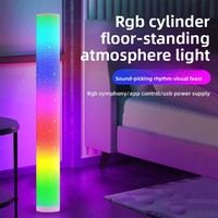 Nouvelle Lampe sur Pied LED RGB avec Contrôle par APP, Activée par la Voix, Effet Ciel Étoilé, Veilleuse Ambiante pour Chambre, Salon et Fêtes