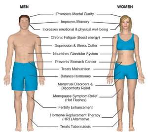 Suplemen kesehatan organik alami bahan baku ekstrak akar <span class=keywords><strong>Maca</strong></span> hitam bubuk <span class=keywords><strong>Maca</strong></span> Lepidium Meyenii - Product Image 6