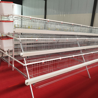 Cage à poulets innovante Linchuan, nouvelle génération, en acier galvanisé à chaud, pour 48 à 160 oiseaux, pour fermes avicoles modernes à grande échelle, longue durée de vie