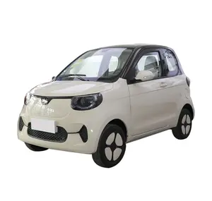 Heißer Verkauf Auto Elektroauto hergestellt in China Fahrzeug billig Elektro-Mini-Auto Elektro fahrzeug Little Tiger Little Tiger FEV2022 FOR-Tw