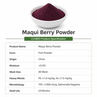 Poudre d'extrait de baies de Maqui en vrac de l'usine LCHBIO, sans OGM, sans gluten, compatible végétalien, mélange de fruits à couleur intense pour boissons