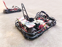 Go Karts Eléctricos Individuales para Adultos, Precio de Fábrica, Fabricante Profesional de Atracciones para Parques de Diversiones