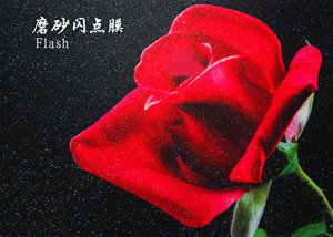<span class=keywords><strong>Film</strong></span> <span class=keywords><strong>flash</strong></span> de haute qualité résistant aux rayures pour papiers photo - Product Image 3