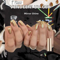 Vendeeni personnalisé Nail Art tremper Liner Gel vernis doré argent effet miroir Designer Style bouteille prend en charge la marque privée