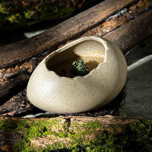 Bol en céramique créatif en forme de nid d'oiseau pour restaurant, idéal pour yaourt, pudding, dessert, œufs à la vapeur, crème glacée et autres plats. - Product Image 2