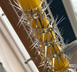 Punte Repellenti per Topi in Acciaio Inox ZM Multi-punta, da Posizionare nell'Erba e Intorno alle Zone di Stoccaggio dei Cereali - Product Image 3