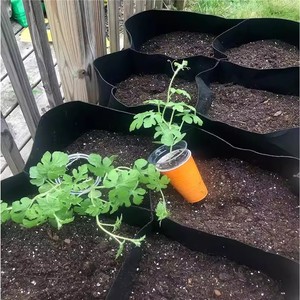 <span class=keywords><strong>Grand</strong></span> lit <span class=keywords><strong>de</strong></span> jardin respirant pour la <span class=keywords><strong>plantation</strong></span> <span class=keywords><strong>de</strong></span> fleurs surélevées 128 gallons 8 grilles sacs <span class=keywords><strong>de</strong></span> culture en feutre pour plantes grands lits <span class=keywords><strong>de</strong></span> <span class=keywords><strong>plantation</strong></span> en plein air - Product Image 6