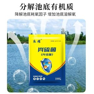 Gránulos de Bacterias de Azufre, Purificador de Agua para Acuicultura, Tratamiento de Aguas Residuales, Biodegradable, Fácilmente Soluble en Agua - Product Image 4