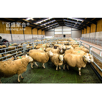Structure en acier préfabriquée pour élevage de chèvres, de moutons, de bétail, conception de hangar, maison