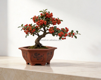 Pots à Bonsaï Hexagonaux Chinois Respirants, Pots Décoratifs pour Plantes, pour Aménagement Paysager, pour Patio ou Affichage Intérieur