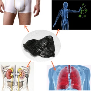 Suministro de Fábrica al por Mayor: Polvo Puro de Shilajit, Extracto Herbal Natural con 50%/40% de Ácido Fúlvico, Tambor de 1KG/Bolsa, Venta Directa - Product Image 4