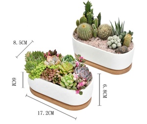 Vaso per fioriera calda <span class=keywords><strong>Cactus</strong></span> succulento ceramica ovale <span class=keywords><strong>con</strong></span> vassoio di bambù fiore in ceramica bianco da 6.7 pollici all'ingrosso/pianta verde smaltata - Product Image 1