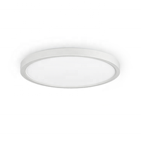 Spot lumineux Led rond en acier inoxydable avec inclinable, pour l'intérieur, 24/32W, montage en surface, sans panneau, 5CCT, nouvel arrivage
