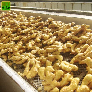 Hot Bán 80-150G Gừng Bán Buôn Cho Xuất Khẩu Với Chất Lượng Tốt Nhất & Giá Rẻ Giá Chất Lượng Cao Gừng Tươi Với Toàn Cầu Khoảng Cách & Haccp - Product Image 2