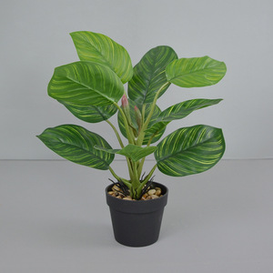 Plante verte artificielle en pot, mini bonsaï, feuille de coquille de tortue, décoration de maison, ornement de bureau, accessoire de photographie, 10 cm-30 cm - Product Image 1