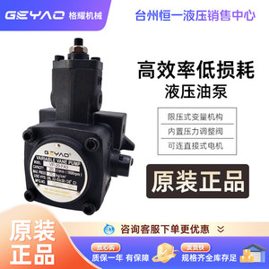 ปั๊มไฮดรอลิกแบบใบพัดปรับได้ Geyao รุ่น VP-15/20/30/40-FA3 กำลัง 2 แรงม้า สำหรับใช้งานในอุตสาหกรรม - Product Image 3