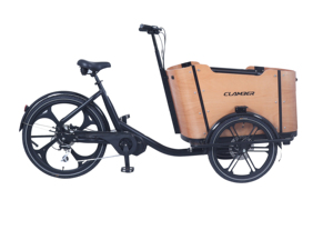 Vélo cargo électrique à trois <span class=keywords><strong>roues</strong></span> de style <span class=keywords><strong>vintage</strong></span> avec moteur de 250W chargement frontal 8 vitesses - Product Image 3
