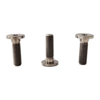 Baut Titanium GR5 M8*25mm Harga Pabrik Kepala Bulat Tipis Baut Torx Dalam Berkualitas Tinggi Sekrup Plum Dalam Kepala Rata Rendah