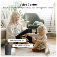 Module de relais de contrôle double YDD Tuya WiFi 16A avec mesure de puissance, compatible Alexa/Google Home pour l'Amérique latine