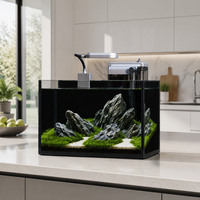 Kit d'aquarium nano personnalisable OEM, aquarium en gros directement de l'usine avec décor personnalisé et filtre intégré