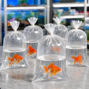 Sacs <span class=keywords><strong>de</strong></span> <span class=keywords><strong>transport</strong></span> extra épais 3 mil pour poissons rouges, résistants aux perforations, sacs en polyéthylène LDPE transparents pour l'expédition <span class=keywords><strong>de</strong></span> grands poissons rouges et <span class=keywords><strong>de</strong></span> carpes koï - Product Image 2