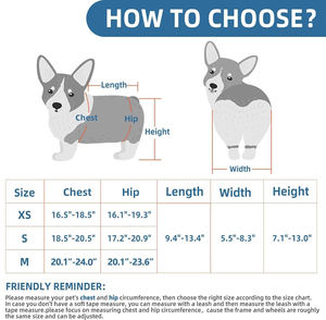 Fauteuil roulant pour chien pour jambes arrière Chariot pour chien/chat Fauteuil roulant avec arrière handicapé - Product Image 4