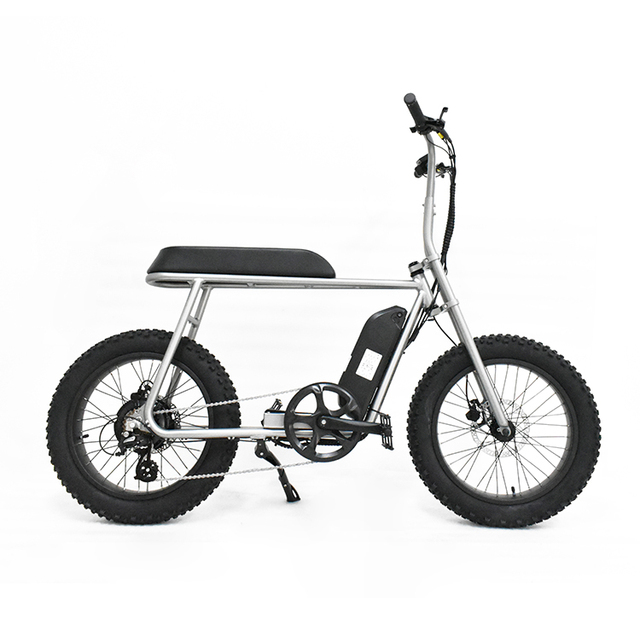Small Size  Retro Electric Bike Adults  350w 48V Ebike for Students Cheap Price Ebike  Frame Fat  Ebike Electric Dirt Bike
