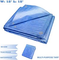 Bâche en PE imperméable robuste sur mesure de 20x30, 30x50, 40x60, 20x20, 15x15, 10x10 pieds, fabriquée en Chine