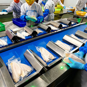 Balance de pesage par lots multiplateformes, balance combinée multi-têtes pour filets de poisson congelés, saumon, portions de pangasius - Product Image 1
