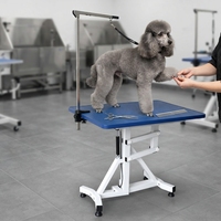 Table de toilettage pneumatique portable pour animaux de compagnie avec roues, table de beauté pour chiens à levage hydraulique, plateau antidérapant pour toilettageurs mobiles