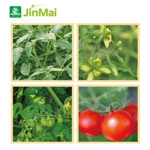 <span class=keywords><strong>Engrais</strong></span> NPK à haute teneur en azote 400-50-100 TE 50, suspension d'acide fulvique, <span class=keywords><strong>engrais</strong></span> composé pour la croissance des cultures et le développement des racines - Product Image 4