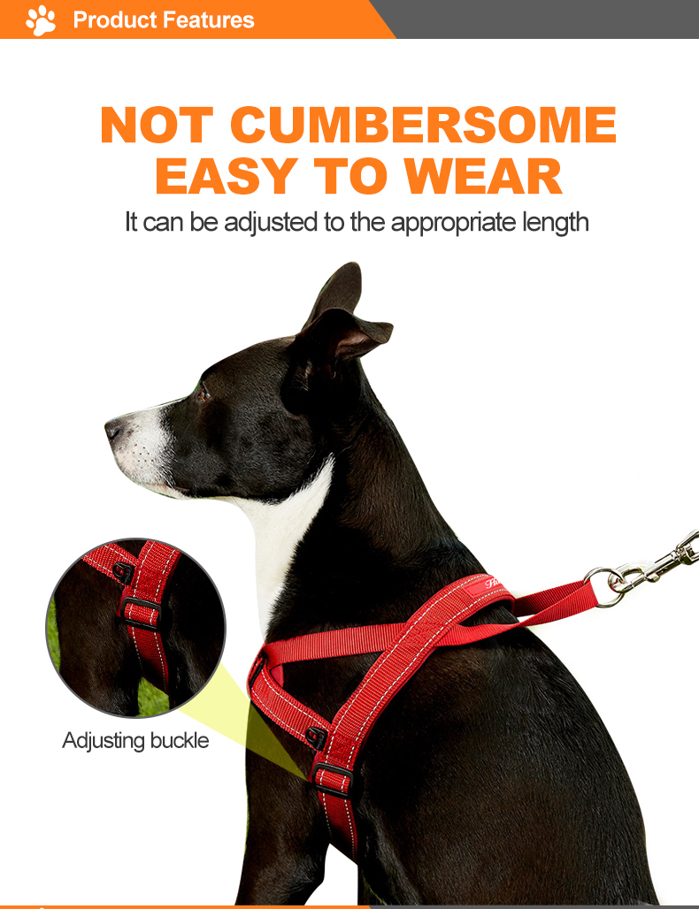 Haoyueer Hundehalsband Gepolstert – Reflektierend, Neopren, Verstellbar, Größe L (38-60 Cm)