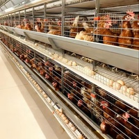Nouvelle cage à poules entièrement automatique en acier de type H à 345678 étages avec système d'alimentation automatique, adaptée aux poules pondeuses des fermes avicoles