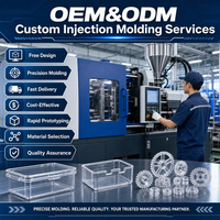 Servicio de Moldeo por Inyección de Plástico Personalizado para Productos de PVC, PA, PE, ABS, PMMA, Fábrica OEM/ODM