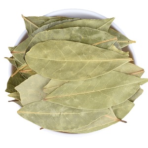 <span class=keywords><strong>Feuilles</strong></span> <span class=keywords><strong>de</strong></span> <span class=keywords><strong>Laurier</strong></span> Séchées Naturelles Sans Soufre, Épice Entière <span class=keywords><strong>de</strong></span> Laurus Nobilis pour Braiser, Faire des Sauces, des Marinades et pour l'Industrie Alimentaire - Product Image 1