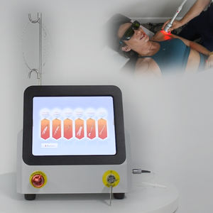 Kelas Iv 60W <span class=keywords><strong>Laser</strong></span> dioda 810nm 980nm 1064nm <span class=keywords><strong>Laser</strong></span> inframerah terapi fisioterapi mesin nyeri punggung - Product Image 5